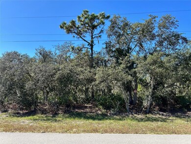 0 Woodstork Way unit MFRL4957343, Frostproof, FL 33843 - photo 5
