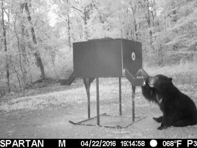 unlisted-address, Winslow, AR 72959 - photo 5