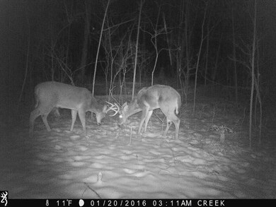 2190 S Poplar Ct, Bloomfield, IN 47424 - photo 6