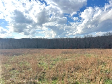 0 E Highway 14 Private Dr unit D, Ava, MO 65608 - photo 4