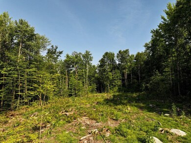 Lots 4-9 Fern Lake Rd, Goshen, VT 05733 - photo 7