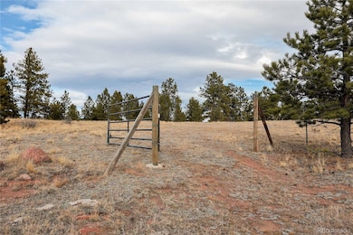000 Twinkle Rd, Guffey, CO 80820 - photo 3