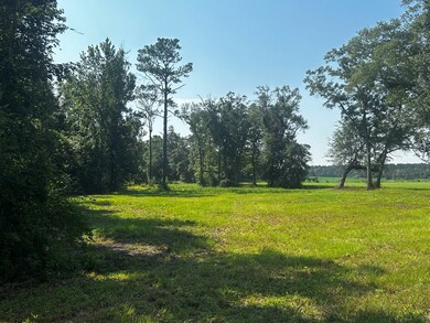 0 Willie Varnum Rd, Dothan, AL 36301 - photo 4