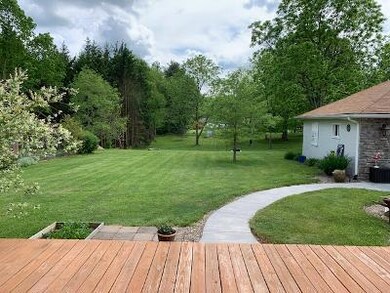 View from backdoor