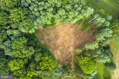 206 Buck Toe Hills Rd, Kennett Square, PA 19348 - photo 4