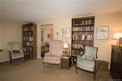 910 20 Brookside Camp Rd unit 20, Hendersonville, NC 28792 - photo 5