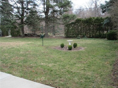 Beautiful Back Yard