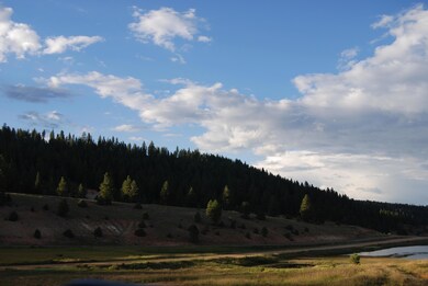 Area Photo Of Swains