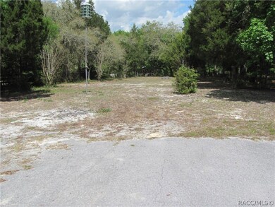 3825 E Riverside Dr, Dunnellon, FL 34434 - photo 3