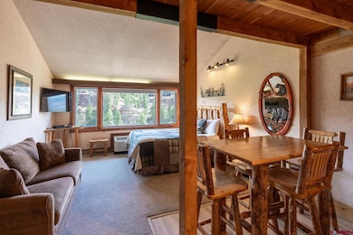 314 N Tamarron Dr unit 506, Durango, CO 81301 - photo 6