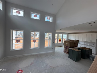 3144 Cathedral Comb Dr unit 255, New Hill, NC 27562 - photo 5