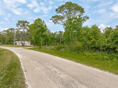 111 Carlton Millender Rd, Carrabelle, FL 32322 - photo 6