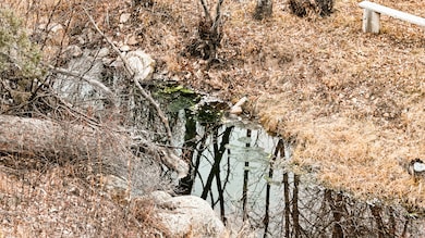 846 Boxer Ranch Rd, Livermore, CO 80536 - photo 3