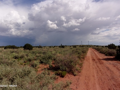 5371 Valley Rd, Snowflake, AZ 85937 - photo 3