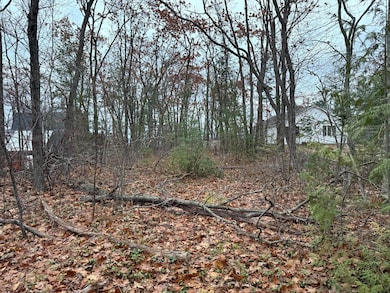 10895 Huron Trail, Cheboygan, MI 49721 - photo 5