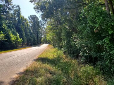 806 Buckhorn Ln unit 1, Magnolia, TX 77354 - photo 4