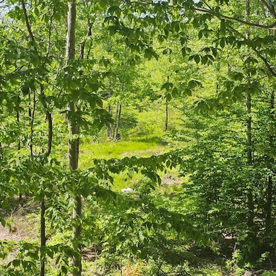 18B Isaac Stevens Rd, Bridgton, ME 04009 - photo 6