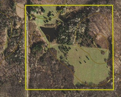 N5586 Andys Rd, Glen Flora, WI 54526 - photo 6