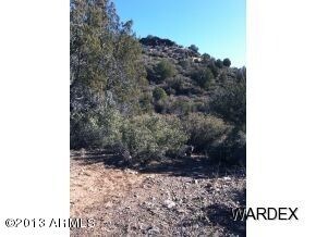 5433 N Kit Fox Trail unit 239, Kingman, AZ 86401 - photo 6