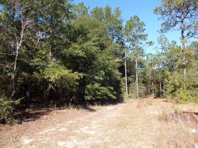 Trail into Lot 8