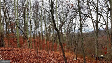 14 Carlin Ln, Great Cacapon, WV 25422 - photo 2