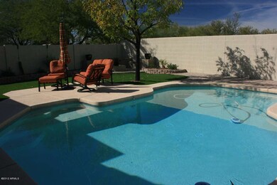 Backyard oasis