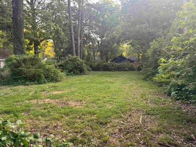 View of green lawn