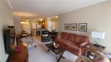 708 Aqua Marine Blvd unit 27, Avon Lake, OH 44012 - photo 6