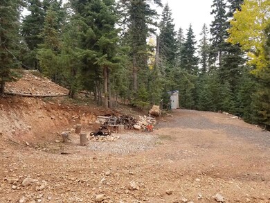 1555 Strawberry Point Rd, Duck Creek Village, UT 84762 - photo 2