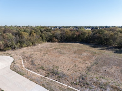 1001 Apollo Ct, Allen, TX 75002 - photo 6