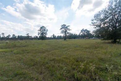 16603 Butera Rd, Magnolia, TX 77355 - photo 3