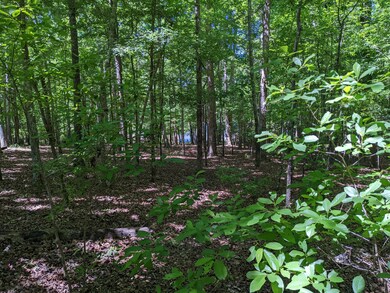 PXL_20220510_162531152