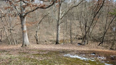 Yard with creek