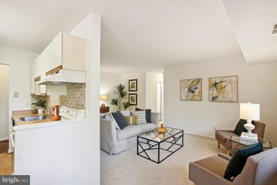 6441 Richmond Hwy unit 204, Alexandria, VA 22306 - photo 2