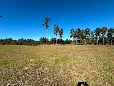 1000 Millen Hiltonia Rd, Hiltonia, GA 30467 - photo 3