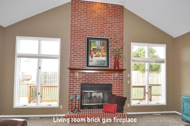 Living room fireplace