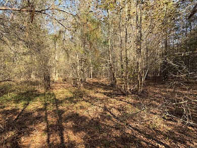 0 24 S unit 549085, Waynesboro, GA 30830 - photo 6