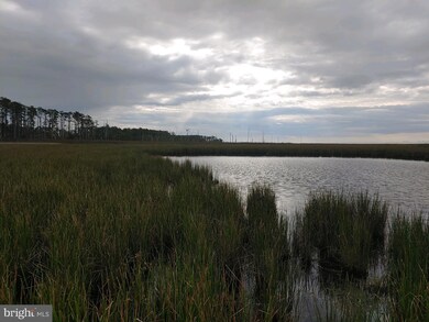 0 Shorters Wharf unit MDDO2006234, Cambridge, MD 21613 - photo 3
