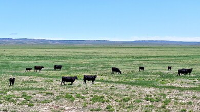 48999 County Road 48, Model, CO 81059 - photo 3