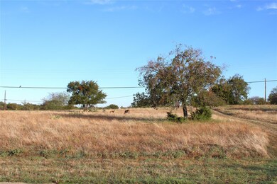 42206 Bay Hill Dr, Whitney, TX 76692 - photo 4