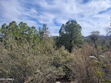 Beautiful treed lot