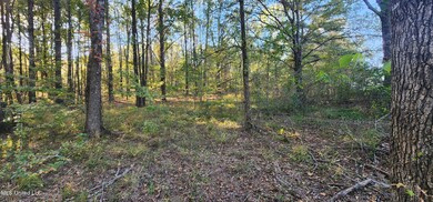 Lot 23