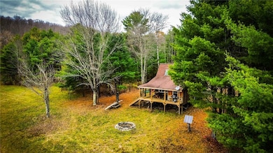 0 Dawes Hill Rd, Newfield, NY 14867 - photo 3