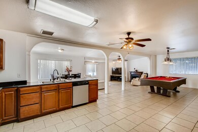 3027 E Camino St Mesa AZ 85213-large-006