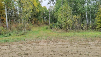 28515 Fool's Lake Dr, Two Inlets Township, MN 56470 - photo 4