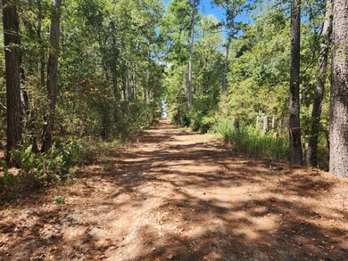 Lot 24 Yellow Poplar Ln, Plantersville, TX 77363 - photo 7
