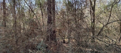 NHN Pecan Dr, Lumberton, MS 39455 - photo 3