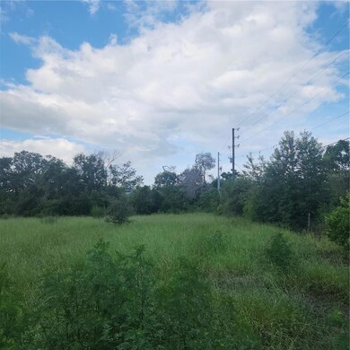 4137 New River Rd, Wesley Chapel, FL 33543 - photo 6