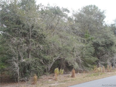 1793 E Humphrey Ln, Hernando, FL 34442 - photo 4