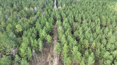 unlisted-address, Mize, MS 39116 - photo 6